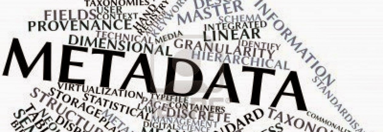 Metadatos: concepto, características y curiosidades.